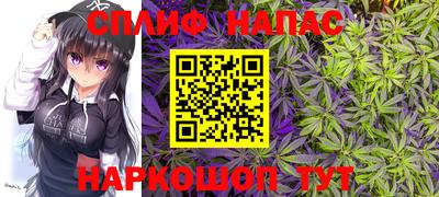 PSILOCYBIN Туймазы