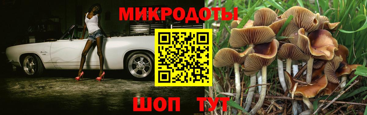 даркнет сайт  Псилоцибиновые грибы Psilocybine cubensis  Вход с VPN  Бор 